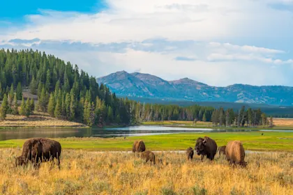 Road trip dans le Montana - Image 1