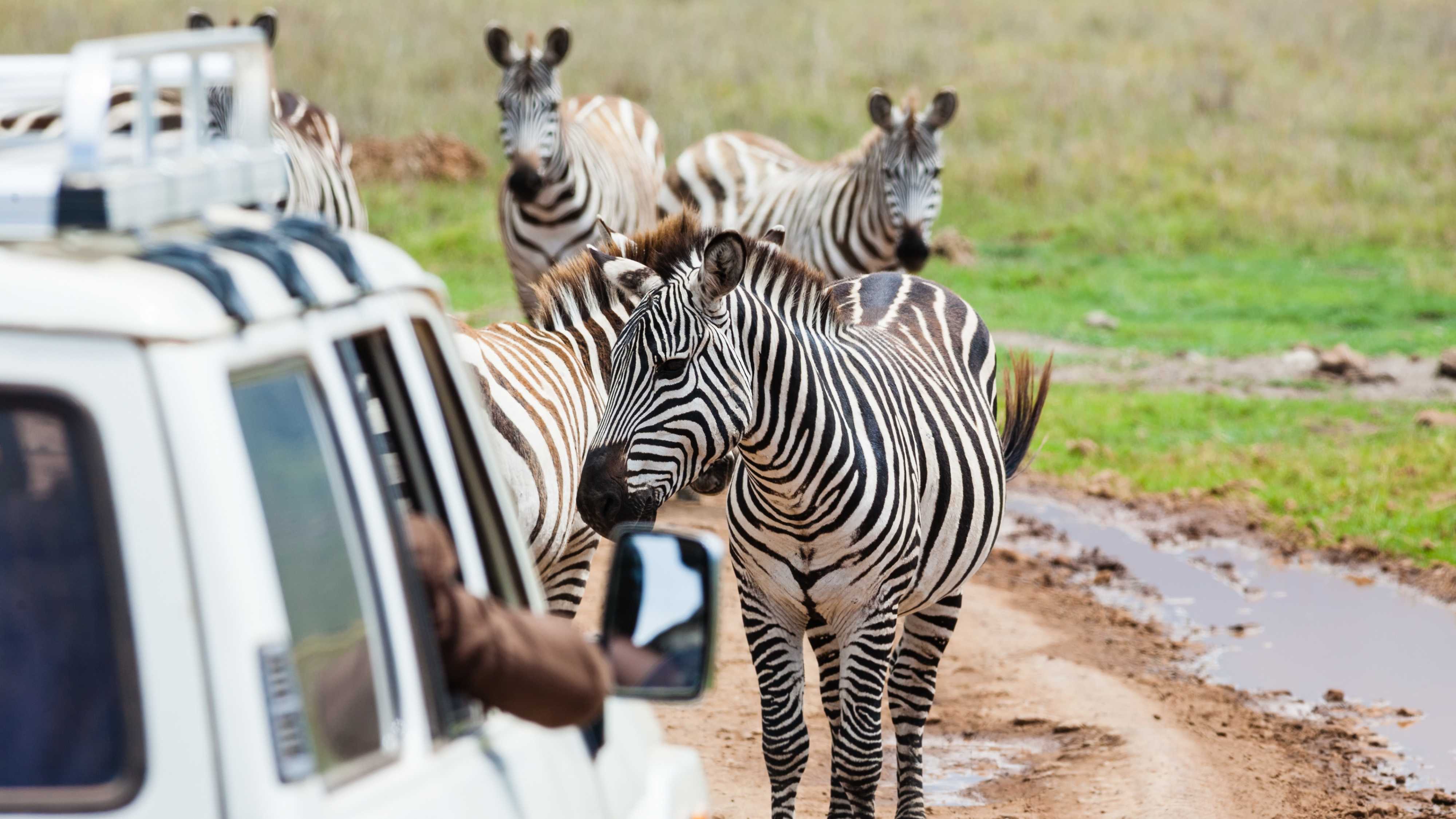 tansania safari und sansibar 3 wochen