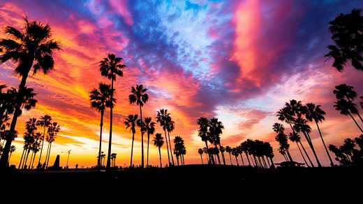 Palmen_vor_einem_farbig_leuchtenden_Abendhimmel_in_Venice_Beach_USA