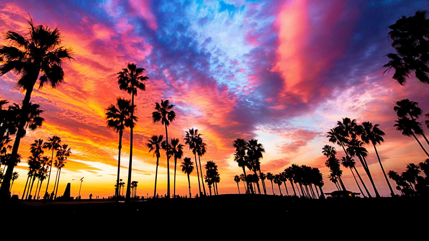 Silhouettes de palmiers devant un ciel coloré à Venice Beach