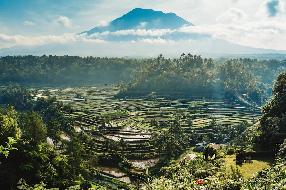 Circuit à Bali sur 10 jours - main image