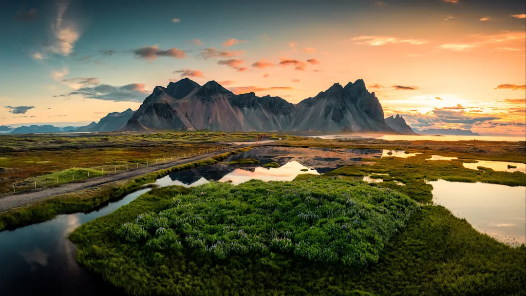 Sonnenaufgang über dem Vestrahorn mit Lupinenblumenfeld im Sommer auf der Halbinsel Stokksnes, Island.