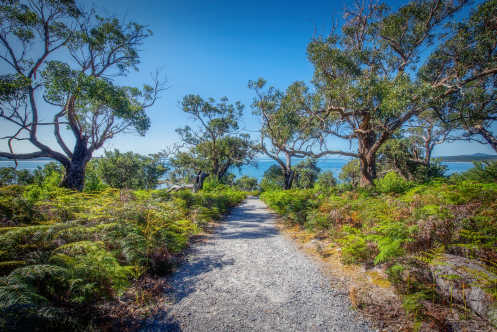 Der Wanderweg im Wilson's Promontory National Park, Australien.