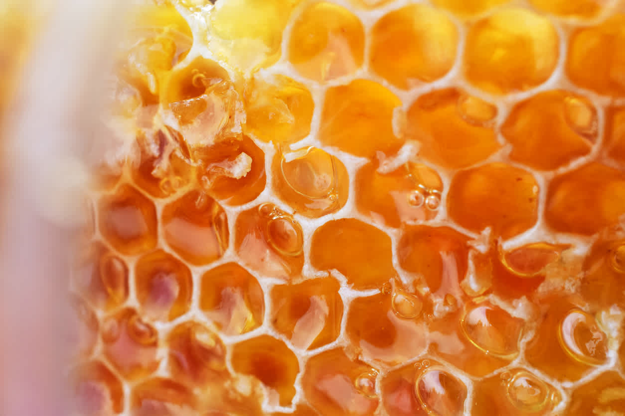Goûtez aux divers variétés de miel pendant votre voyage à Kangaroo Island.