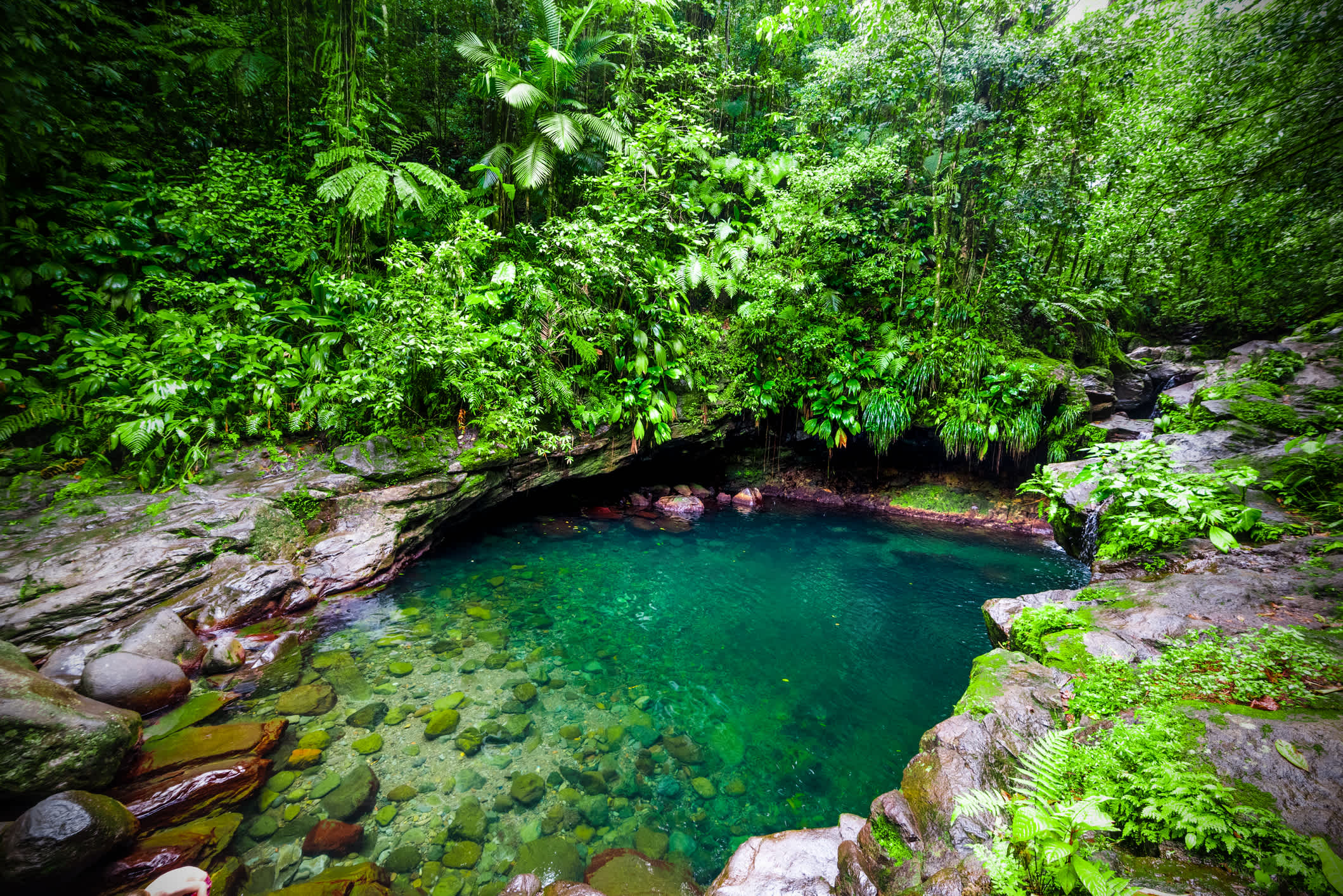 Wunderschöne Lagune in Guadeloupe