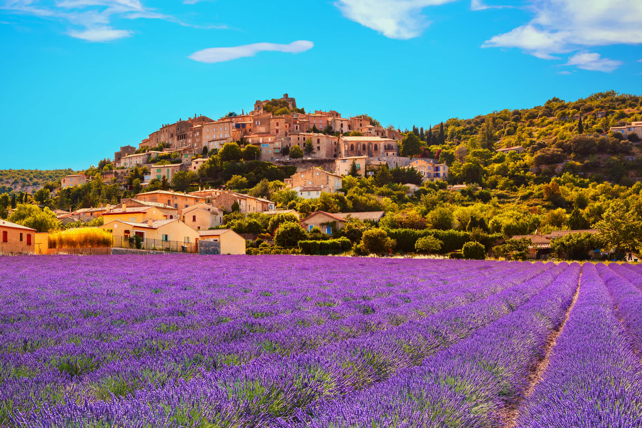 Admirez les paysages typiques de la région pendant vos vacances en Provence.