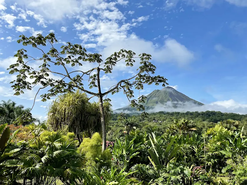 Costa Rica, Alajuela, La Fortuna Majestätischer Vulkan Arenal umgeben von grüner Natur. La Fortuna, Alajuela, Costa Rica.