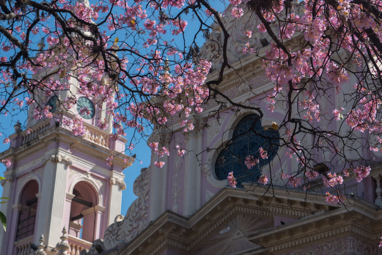 Cathédrale de Salta en Argentine