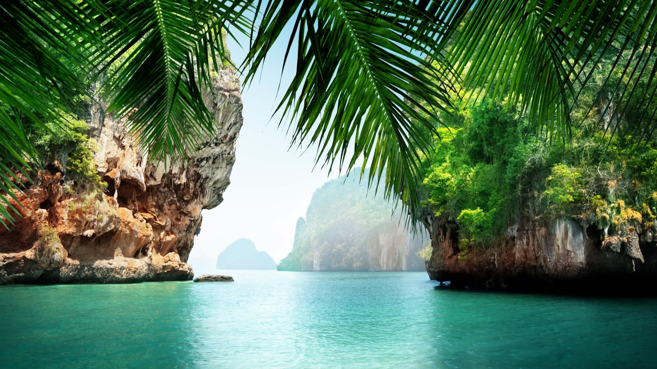 Feuilles de palmiers devant le paysage d'une eau turquoise et de rochers, en Thaïlande