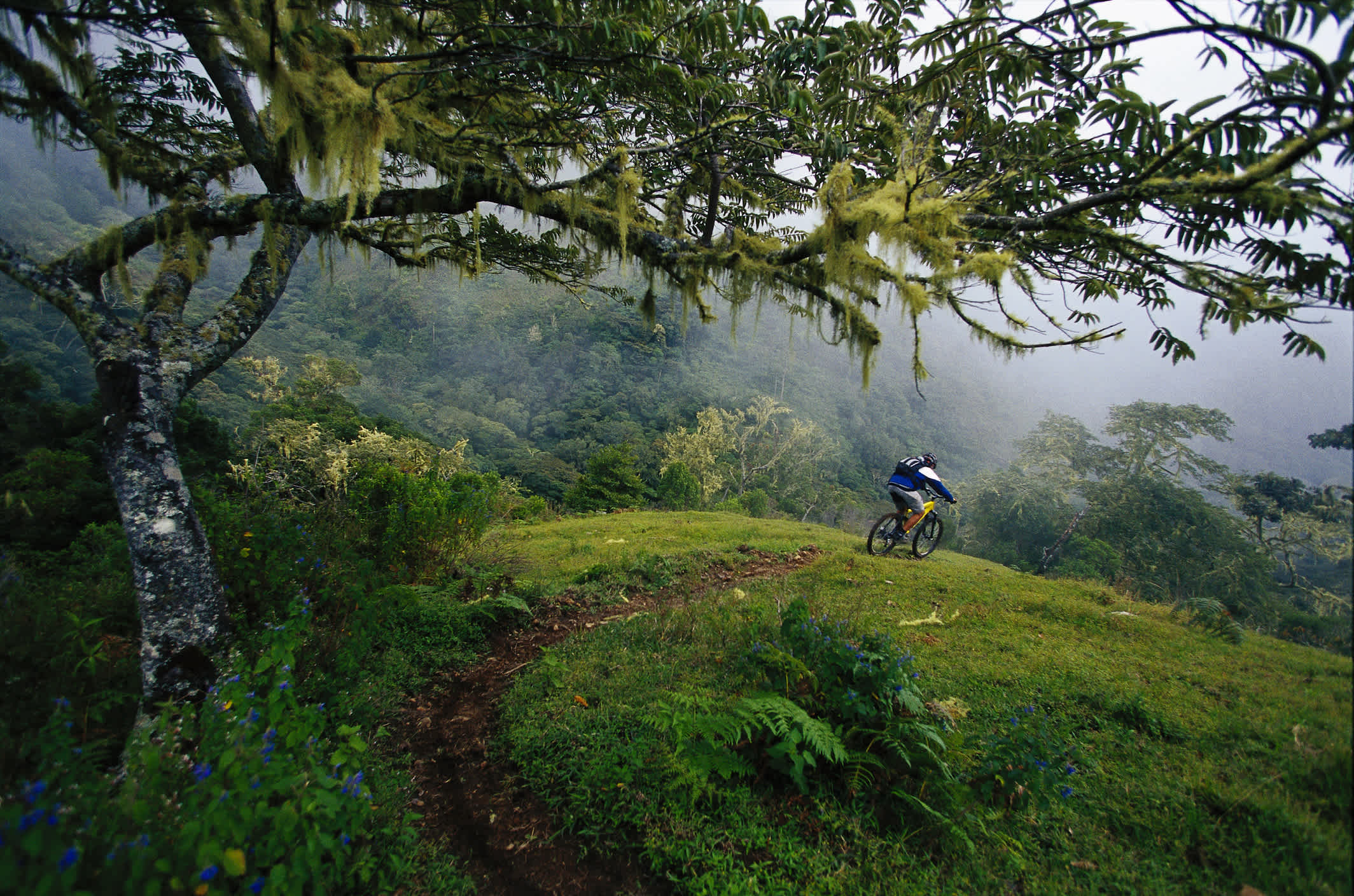 Ein Mann fährt auf einem Mountainbike in Costa Rica.
