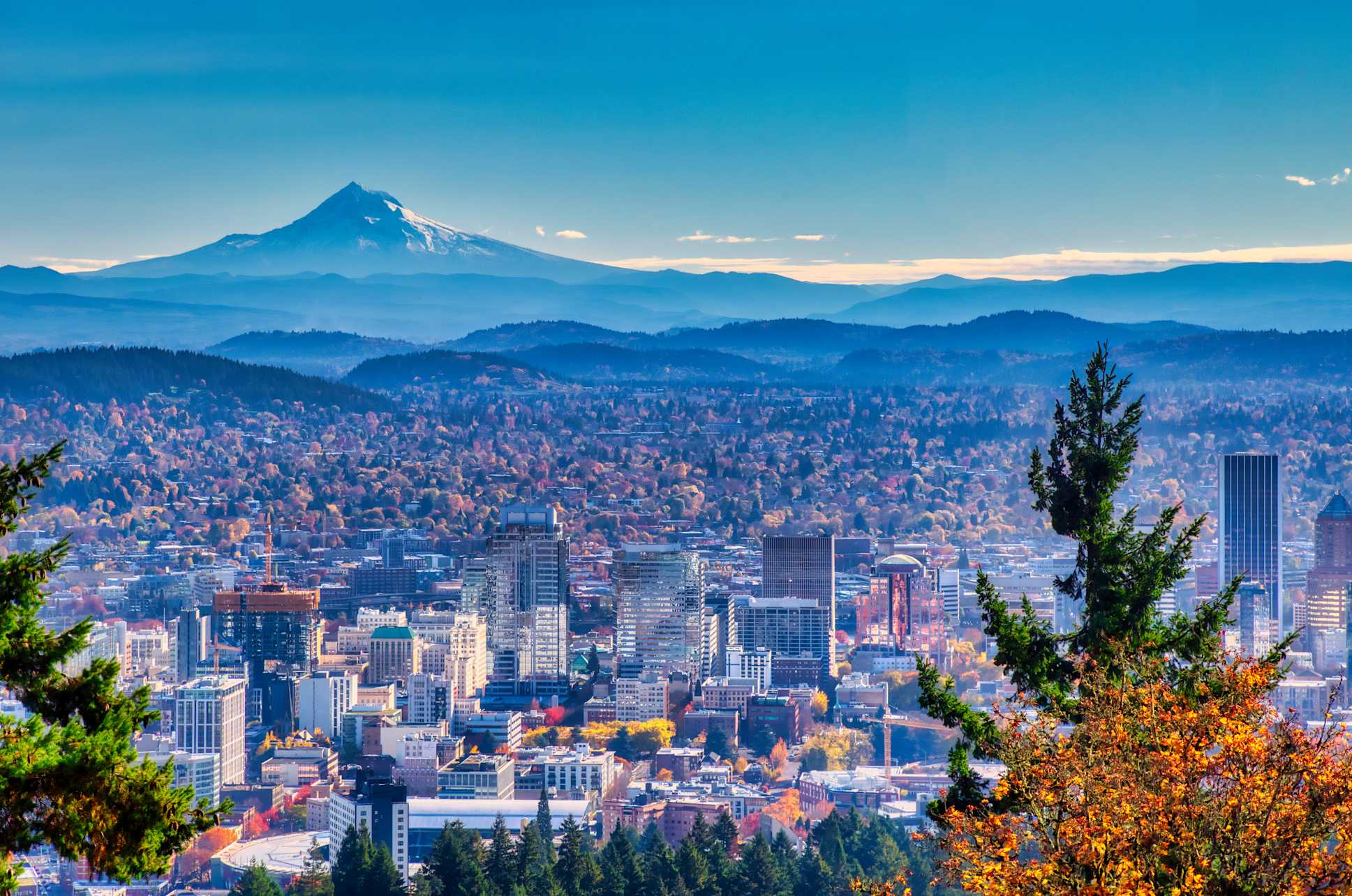 Portland Nice Que voir à Portland, les incontournables à découvrir | Tourlane