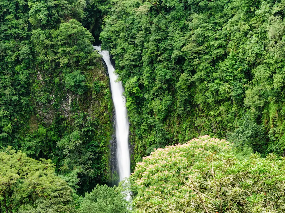 Wasserfall inmitten üppiger grüner Vegetation, La Fortuna, Alajuela, Costa Rica.