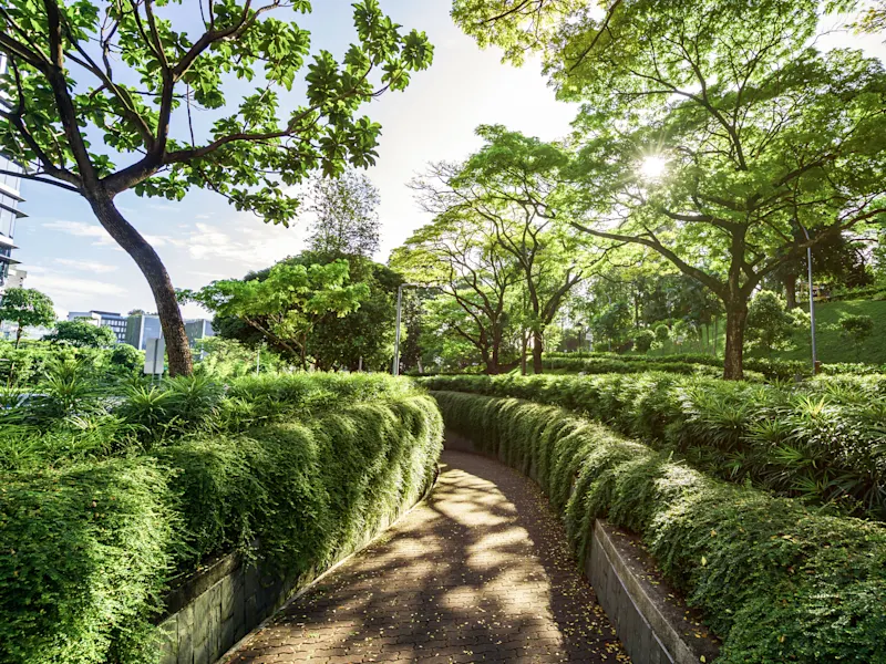 Sinagpur,Fort Canning Park Grüner Parkweg mit üppiger Vegetation und hohen Bäumen im Sonnenlicht. Fort Canning Park, Singapur.
