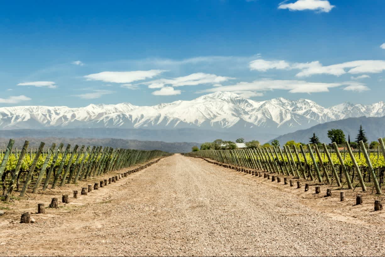 Domaines viticoles et vue sur les Andes enneigées en Argentine