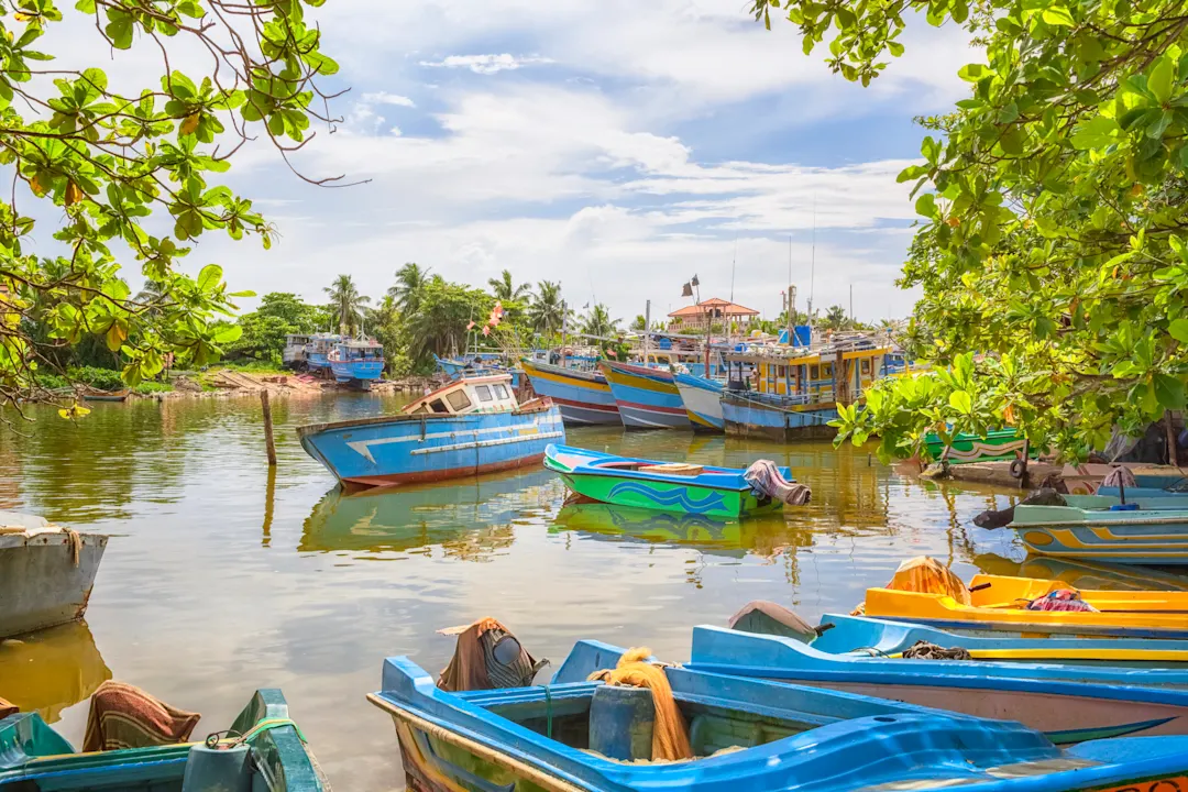 Bemalte Fischerboote im alten Hafen von Negombo in Sri Lanka.