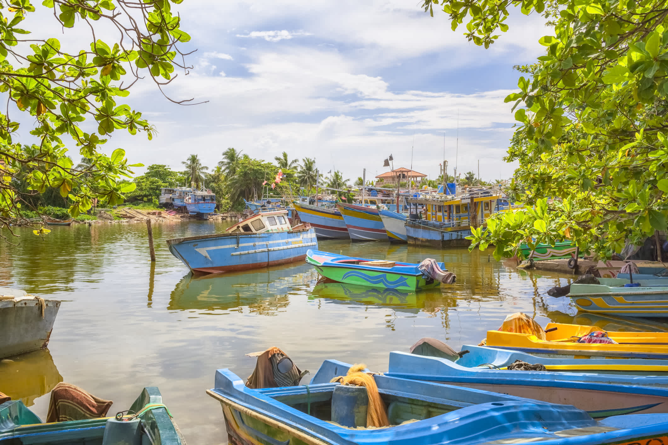 Bemalte Fischerboote im alten Hafen von Negombo in Sri Lanka.