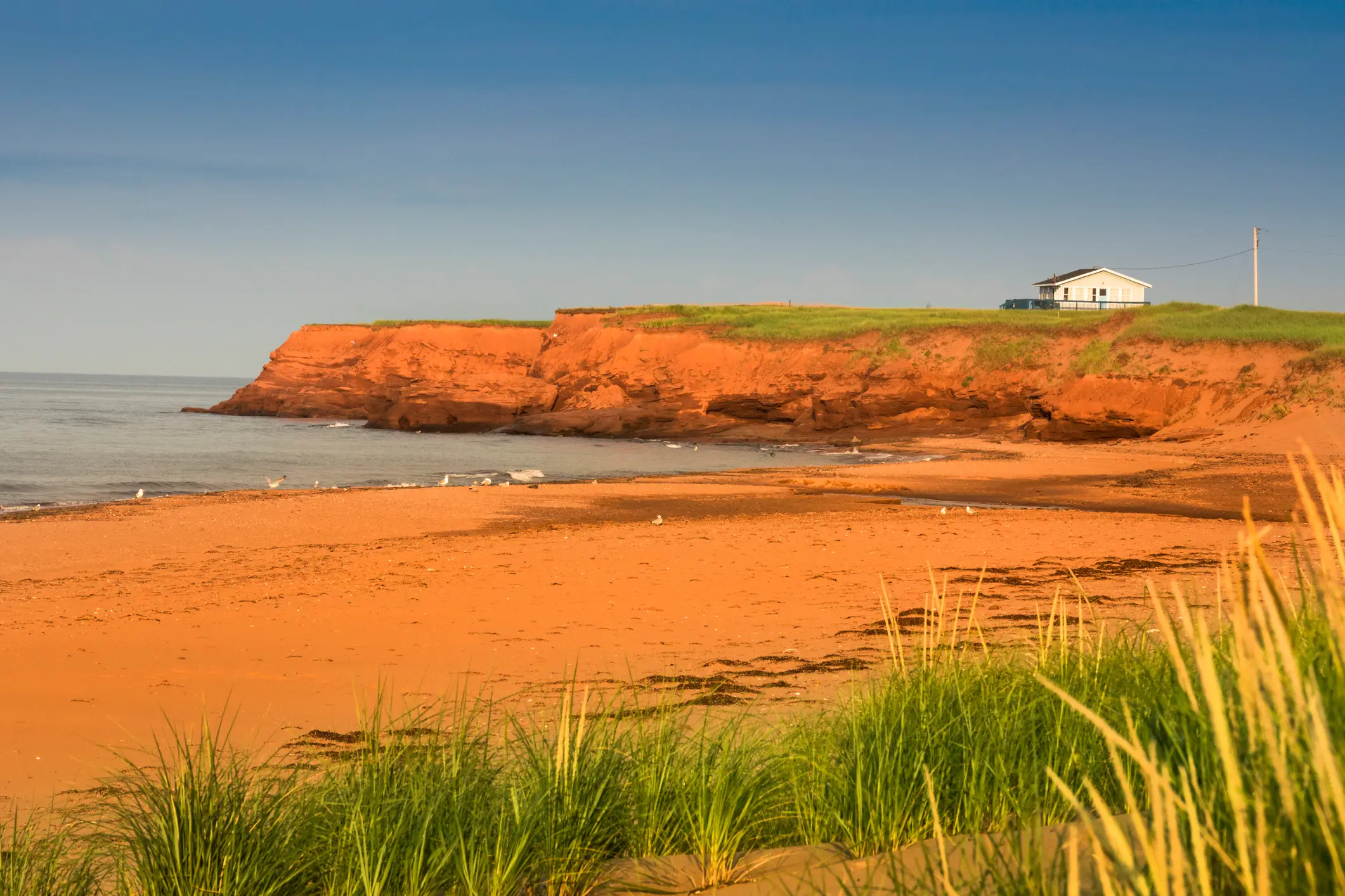 Ruhige Küste von Dalvay Beach im Sommer auf der Prince Edward Island in Kanada.

