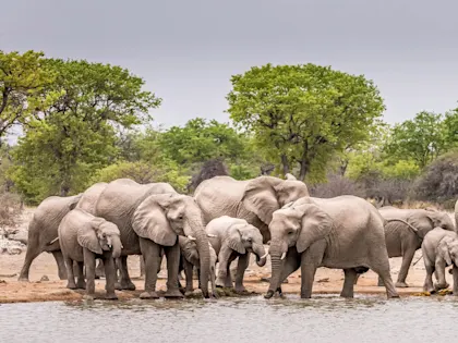 Itinéraire en Namibie : horizons sauvages - Image 1