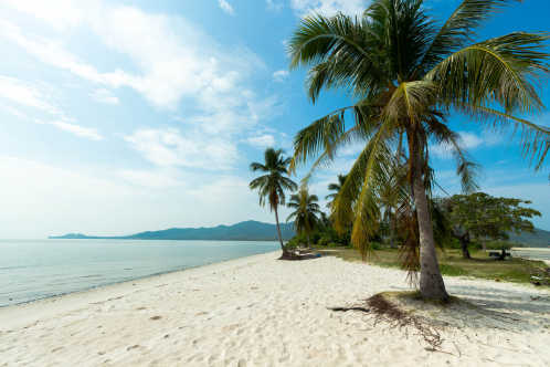 Prachtig uitzicht over het strand met een palmboom op het eiland Koh Yao Yai, Thailand