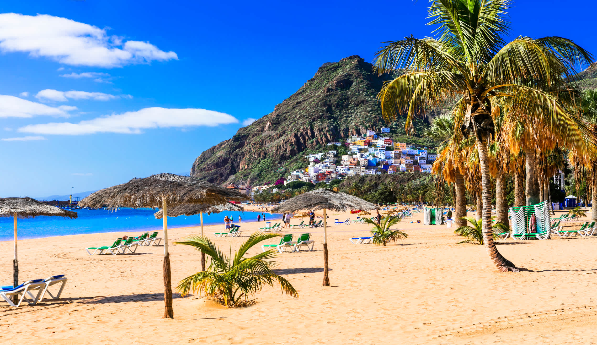 Visitez une plage avec des palmiers au large de Santa Cruz de Tenerife – à découvrir absolument lors d'un voyage à Santa Cruz !