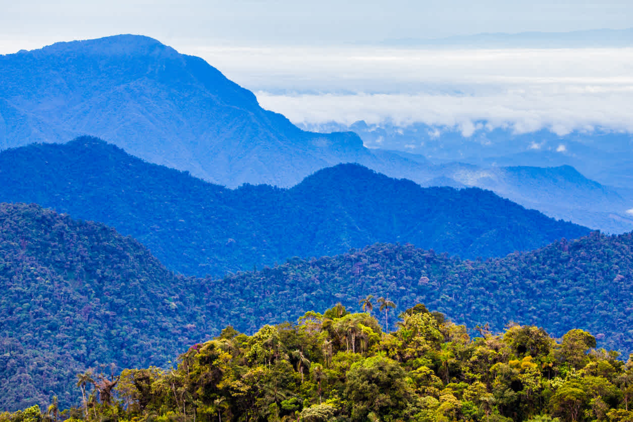Uitzicht op Tatamá Nationaal Park in "De Koffiedriehoek" in Colombia