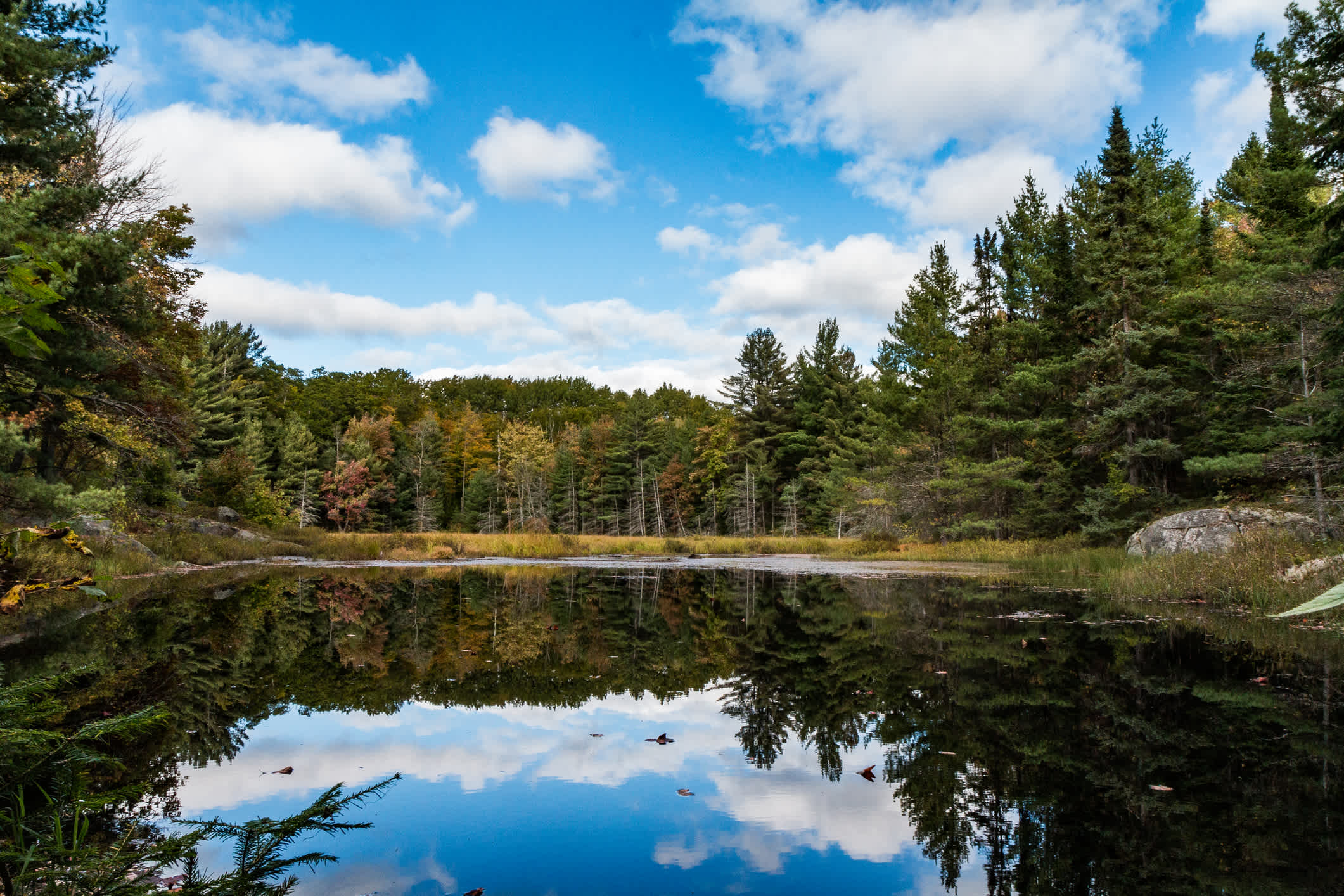 Profitez d'une randonnée dans le parc provincial Algonquin pendant votre voyage en Ontario.