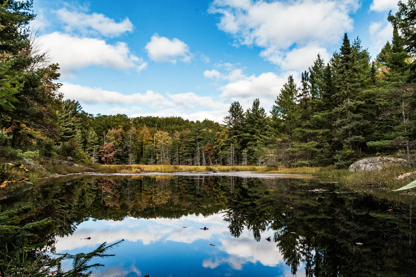 Ontario, Kanada Genießen Sie eine Wanderung im Algonquin Provincial Park während Ihres Ontario-Urlaubs.
