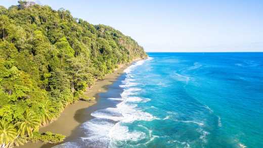 Vue aérienne de la plage de sable naturel de parc national du Corcovado, au Costa Rica