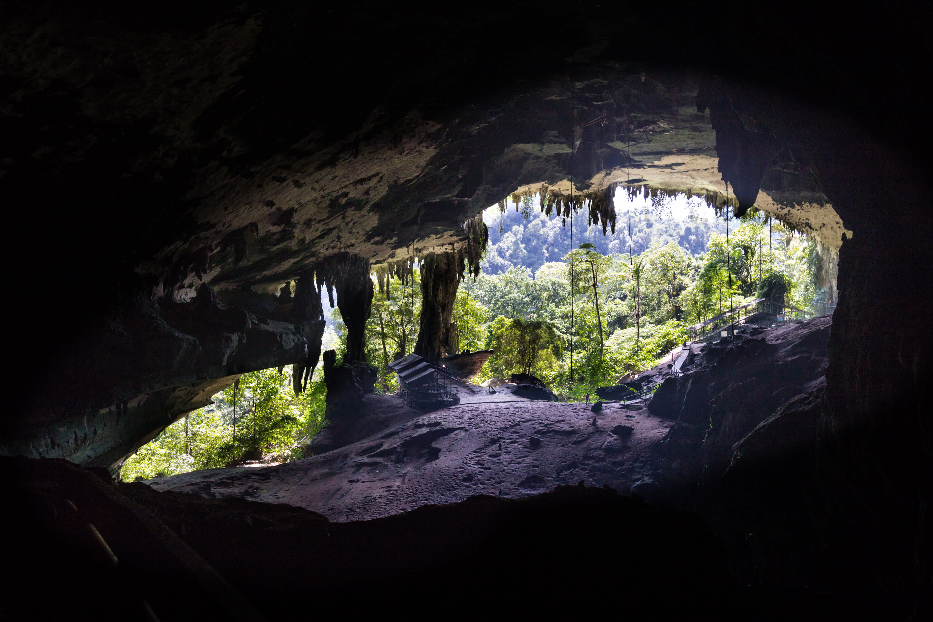 Eingang zu einer Höhle im Mulu-Nationalpark in Malaysia