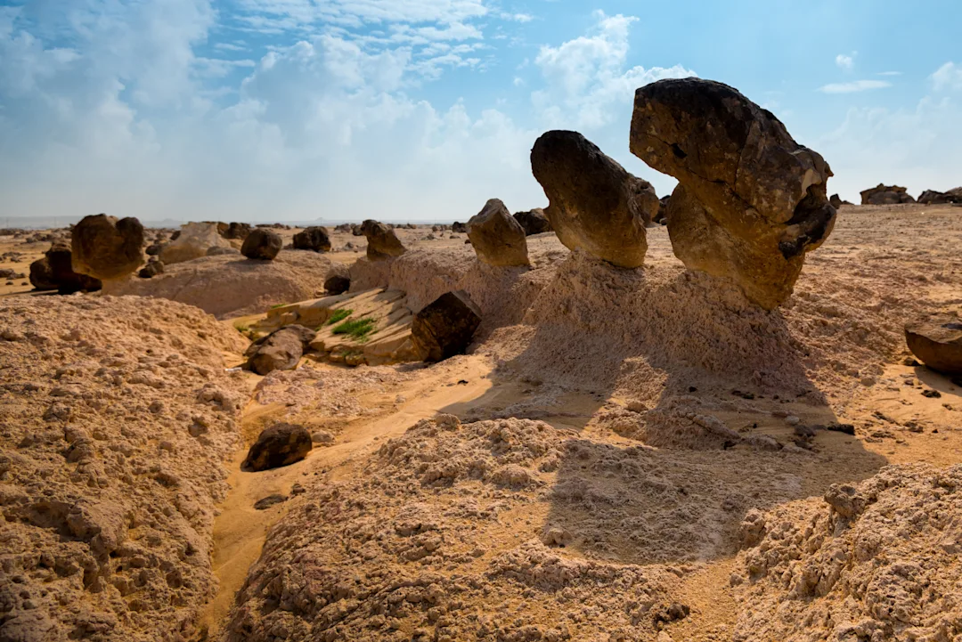 Circuit au Sultanat d'Oman : 3 semaines