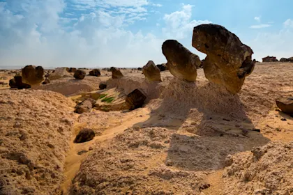 Circuit au Sultanat d'Oman : 3 semaines - Image 1