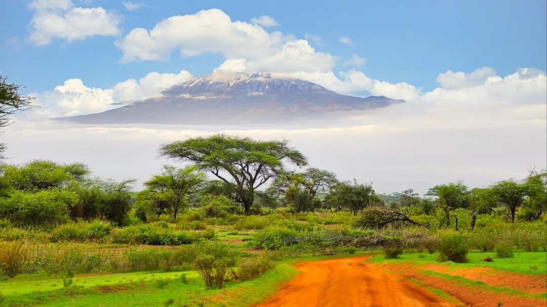 Ascension du Kilimandjaro