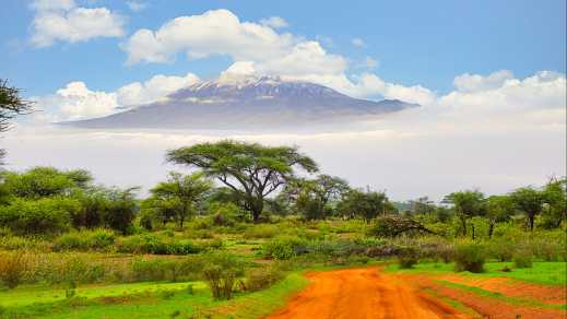 Kilimandjaro enneigé près de Moshi en Tanzanie.