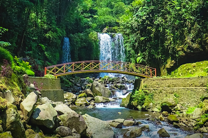 Pont en boise dans une fôret tropicale