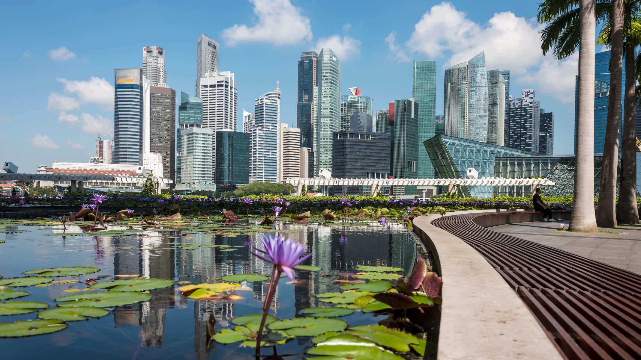 Seerose auf dem Wasser mit der Skyline Singapurs im Hintergrund