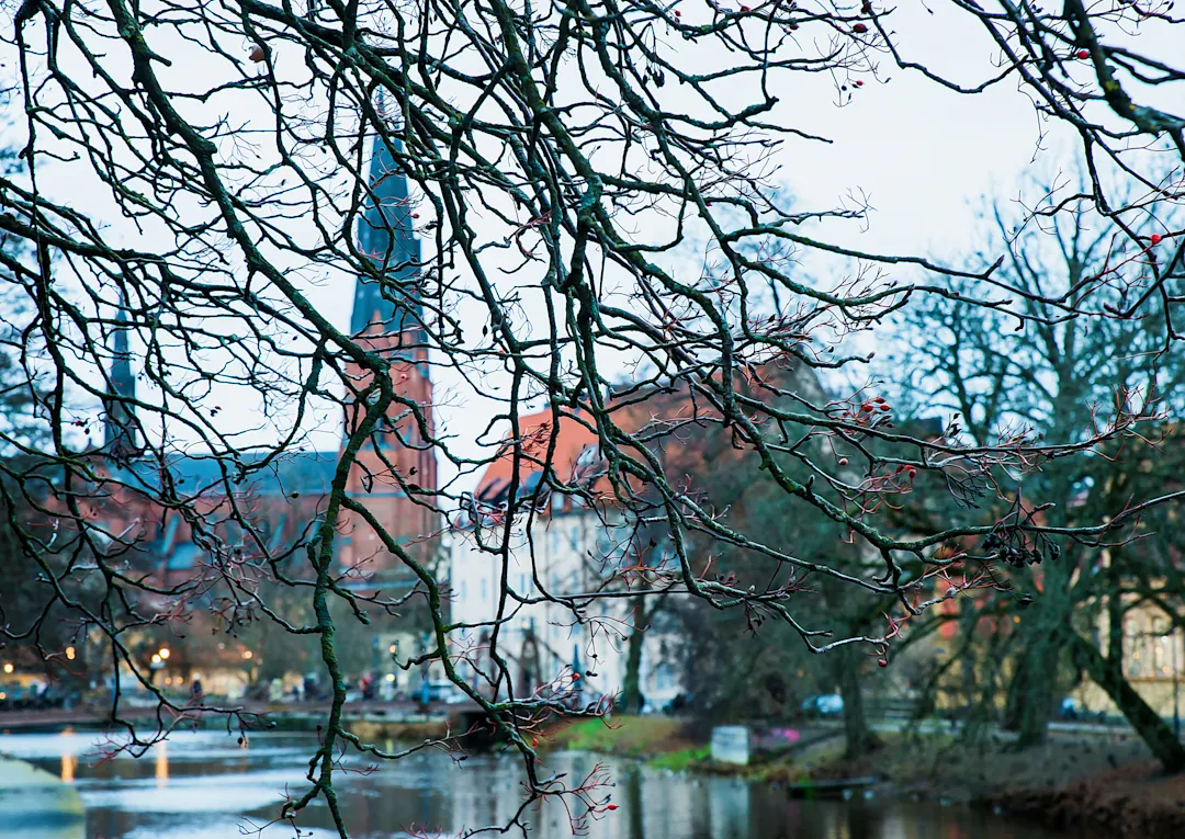 Architektur, Ast - Pflanzenbestandteil, Baum, Bildhintergrund, Europa - Kontinent Architektur, Ast - Pflanzenbestandteil, Baum, Bildhintergrund, Europa - Kontinent