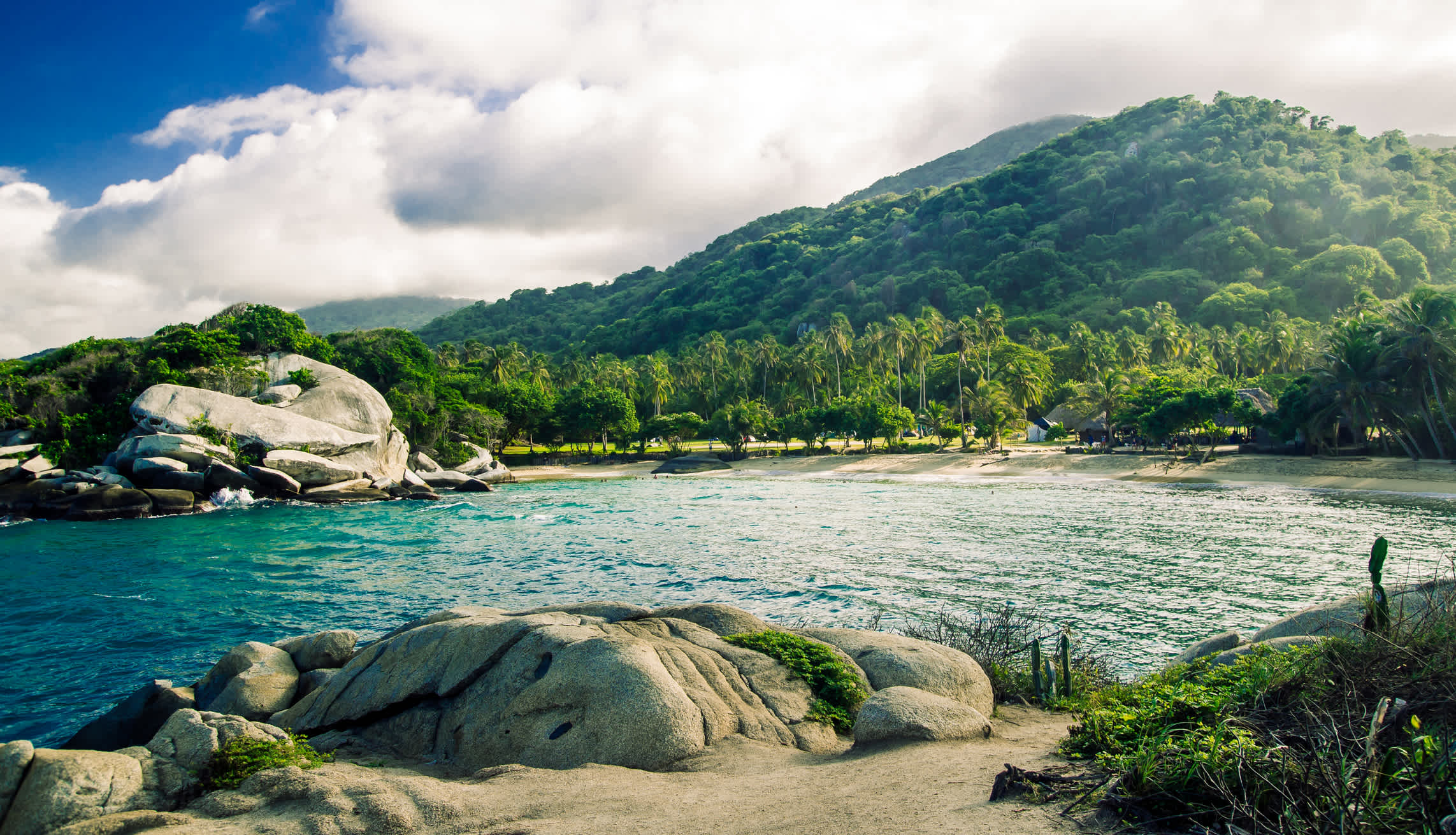 Vue de la jungle dans le parc national de Tayrona, Colombie.
