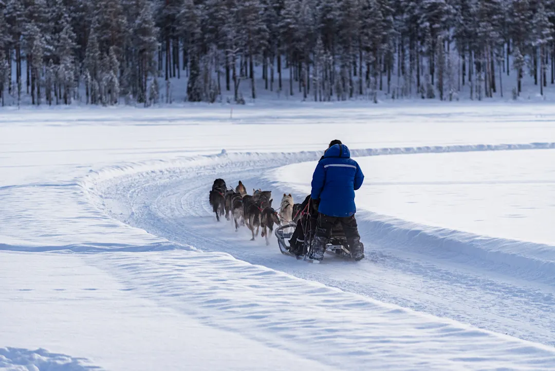Husky-Hundeschlittensafari im Winter