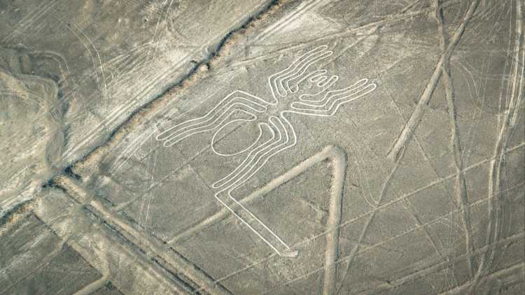 Vue du ciel des lignes en forme d'araignée de Nazca au Pérou