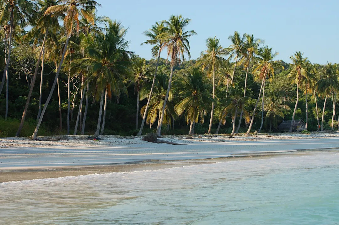 Bira, Sulawesi, Indonesien Strand und Palmen