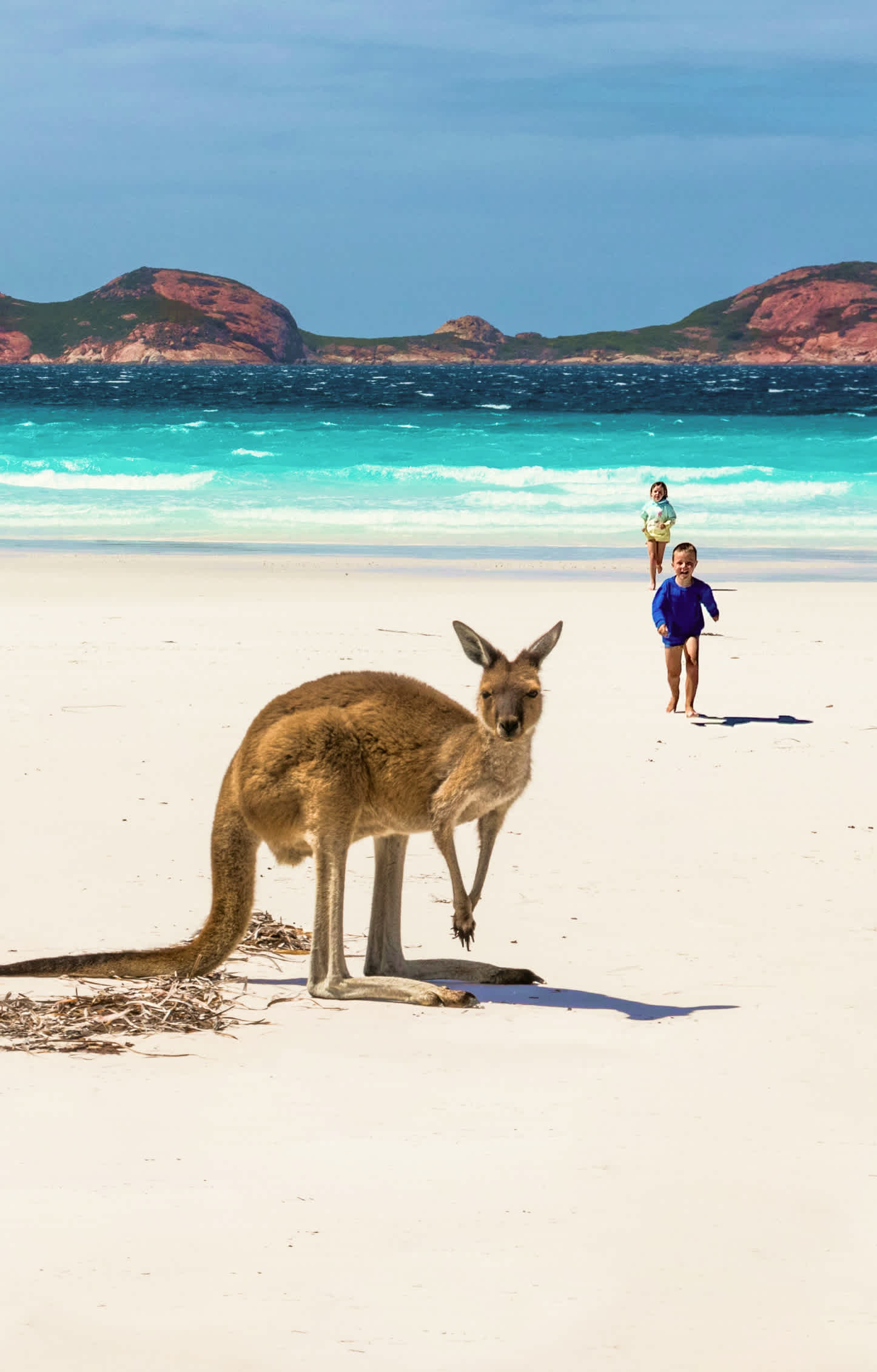An der der Südküste beeindruckt der Vivonne Bay mit türkisfarbenem Wasser und einem langen Sandstrand. Er ist die Heimat von unter anderem Kängurus, Koalas und Wallabys.