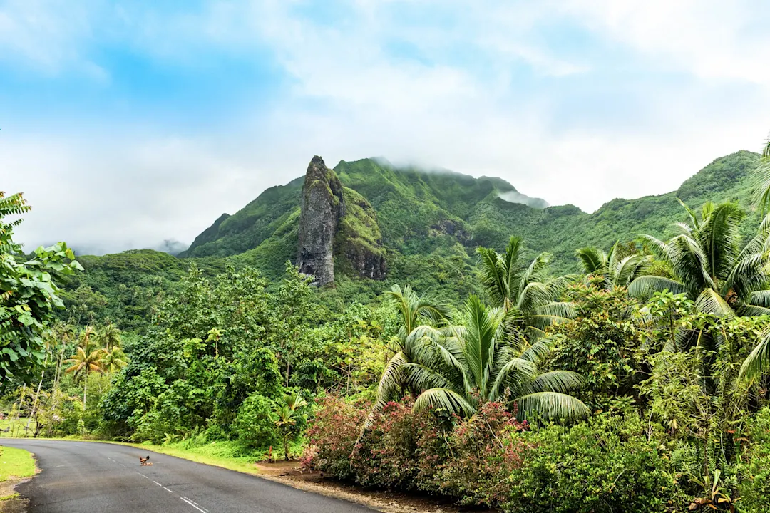 Berglandschaft auf der Insel Raiatea