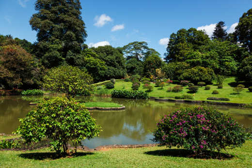 Teich im Botanischen Garten Kandy