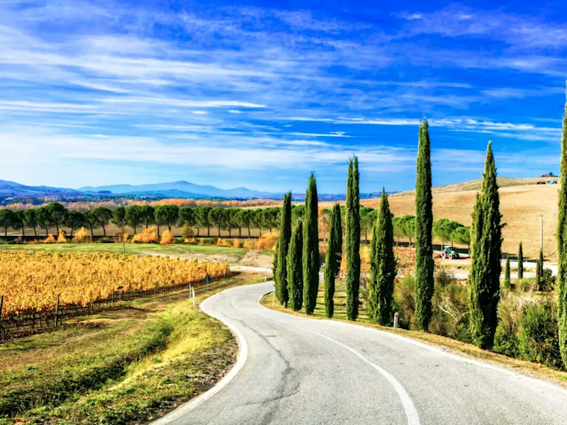 Route de campagne avec cyprès et vignoble aux couleurs d'automne. Toscane, Italie.