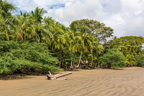 Traumreise nach Panama