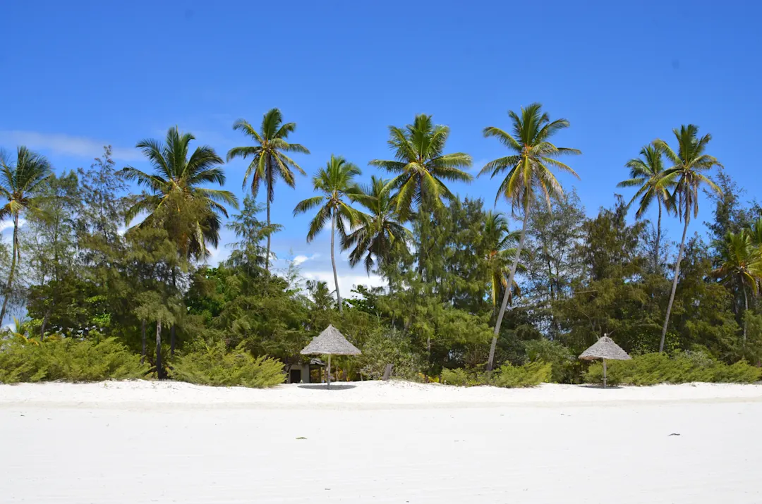 Kiwengwa