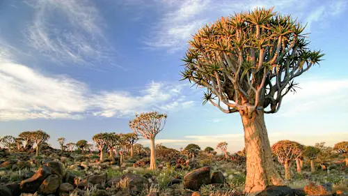 Namibia-image