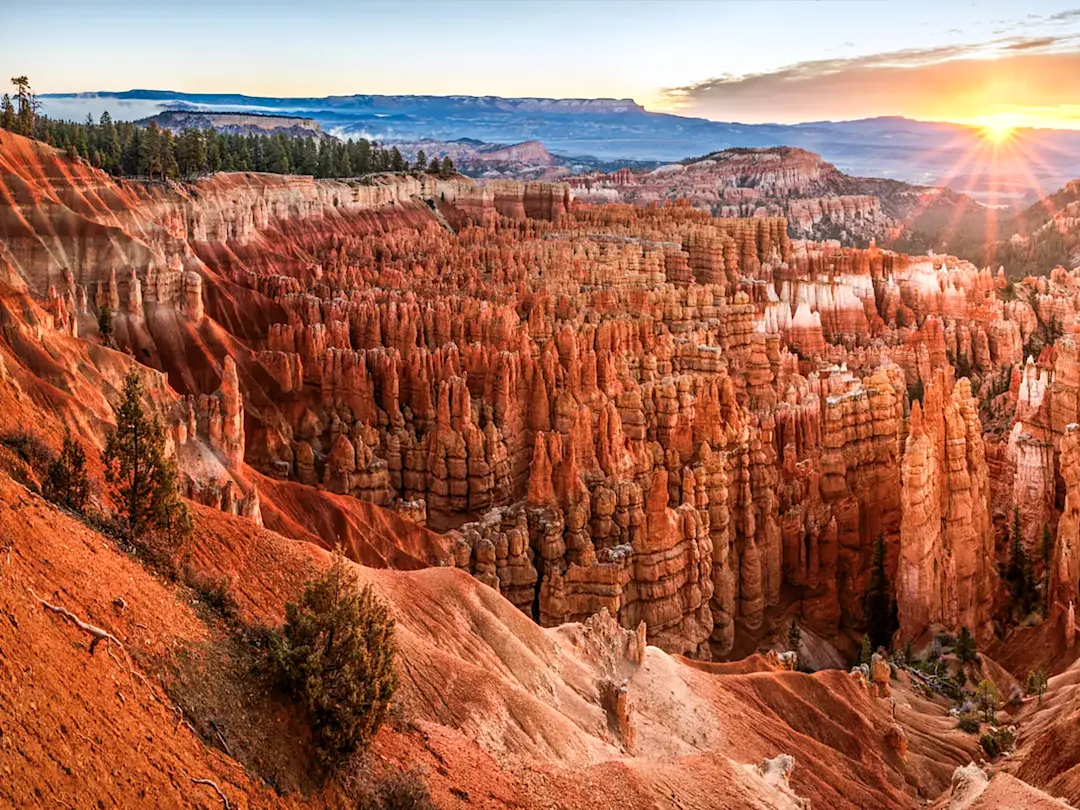 Die beeindruckenden Hoodoos im Bryce Canyon bei Sonnenaufgang. Bryce, Utah, USA.
