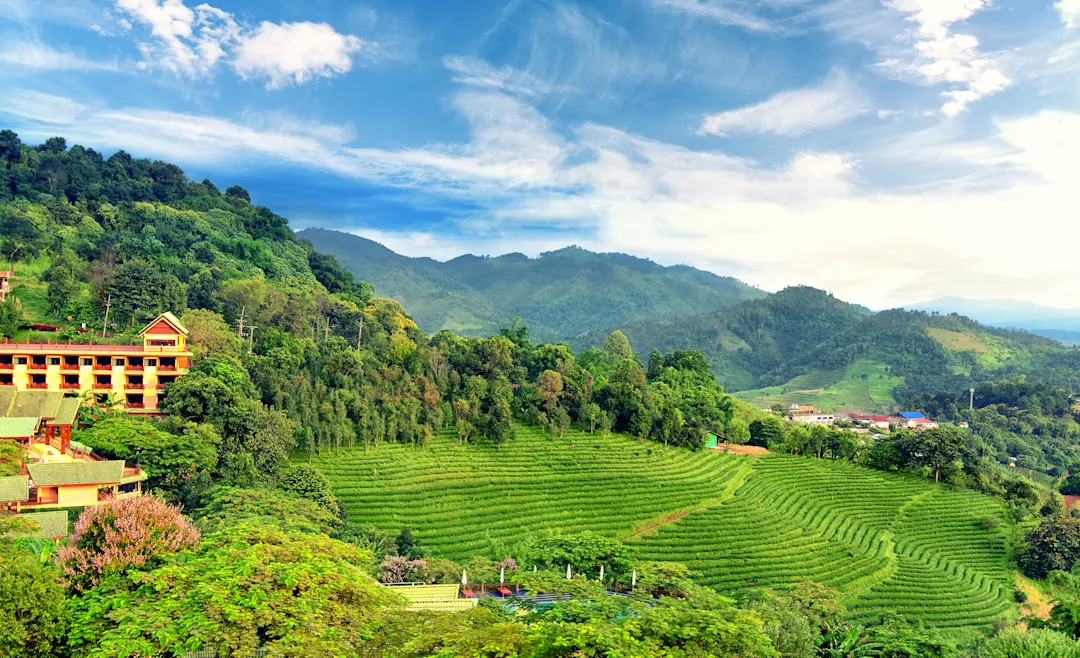 Asien Thailand Chiang Rai Doi Mae Salong Chiang Rai Doi Mae Salong