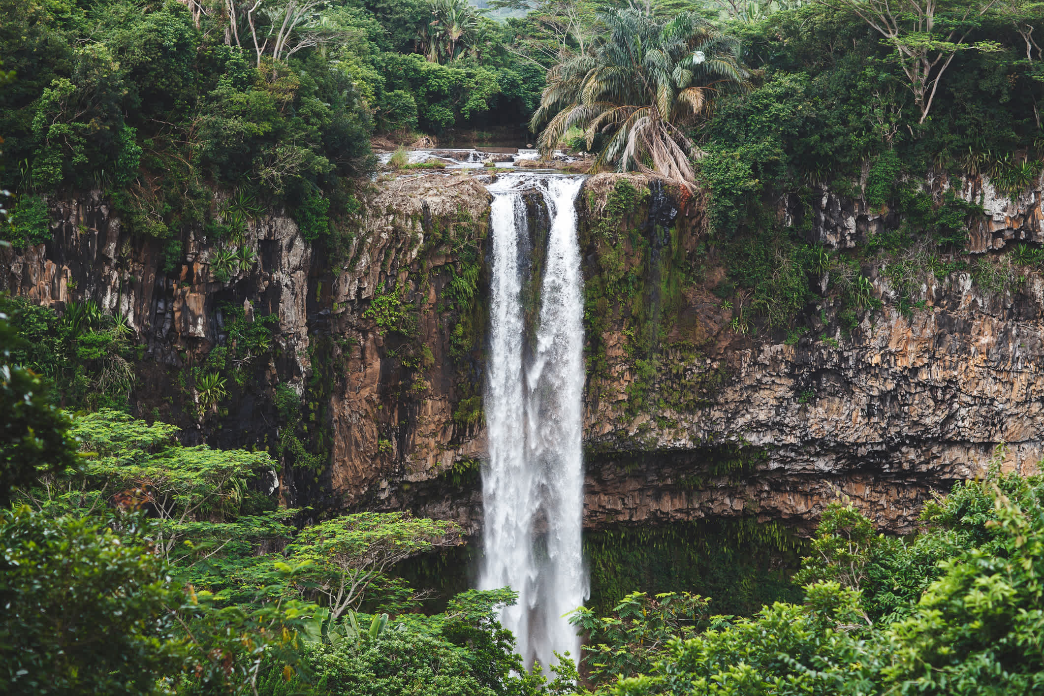 Blick auf den Chamarel-Wasserfall in Mauritius


